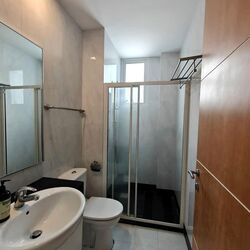 The Champagne (D14), Apartment #546219341